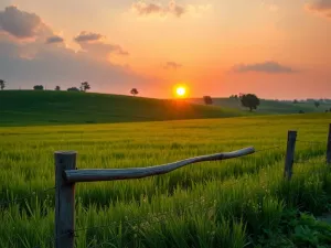 Czy KRUS wlicza się do lat pracy w ZUS? Odpowiedź eksperta